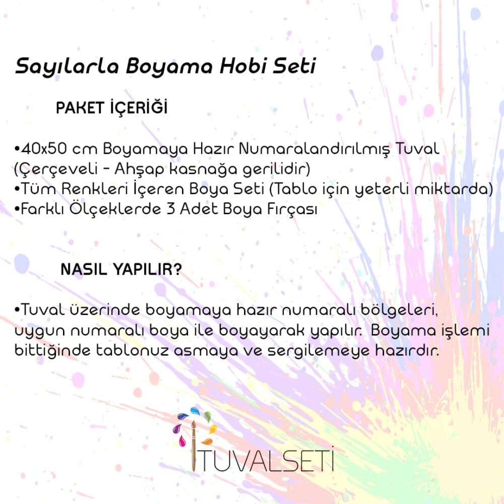 Sayılarla Boyama Seti 40x50 cm - Yüzüklerin Efendisi 3 - Görsel 3